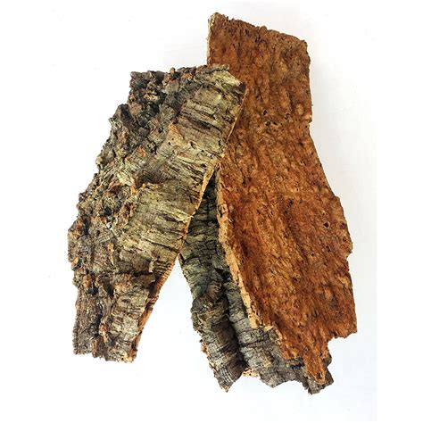 Coco Fiber, to keep the moisture in along with some cork bark pieces and magnolia pods. . Virgin cork bark for sale